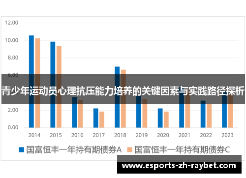 青少年运动员心理抗压能力培养的关键因素与实践路径探析 青少年运动员心理抗压能力培养的关键因素与实践路径探析