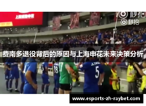 费南多退役背后的原因与上海申花未来决策分析